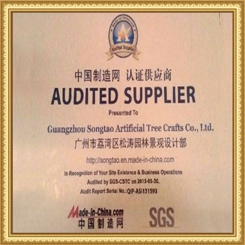 Audited Supplier certificate from Guangdong Songtao Co., Ltd.