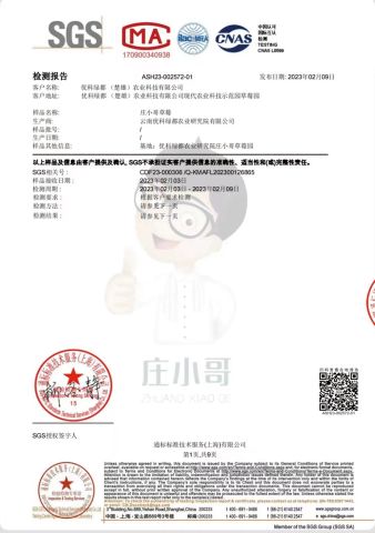 No pesticide residue test report certificate from Anhui TCM Agriculture Biotechnology Co., Ltd.