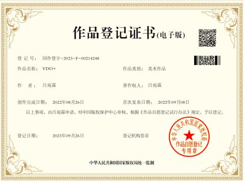 VDO+ certificate of Shenzhen Lovisle Technology Co., Ltd. – certificate photo, supplier certificates section