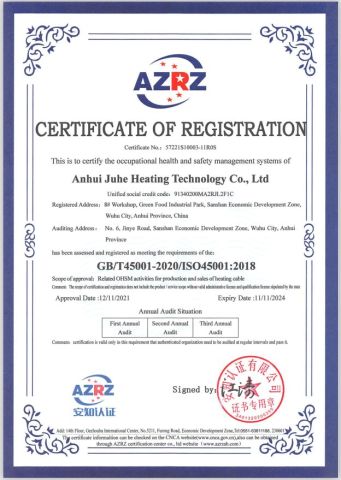 ISO certificate from TS HEAT CHINA Co., Ltd.