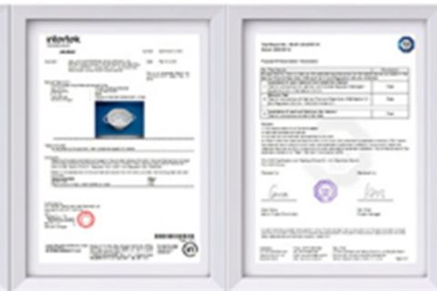 Certification certificate from Jiangmen Max Springs Metal Products Co., Ltd