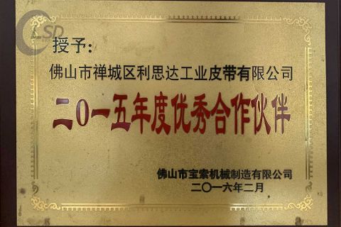 Outstanding partner certificate from Foshan LSD Transmission Equipment Co., LTD