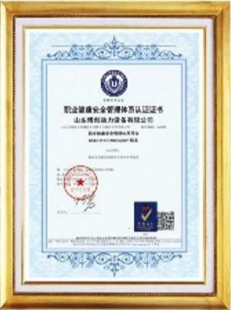 Honor certificate of Shandong Leo International Trading Inc. – certificate photo, supplier certificates section