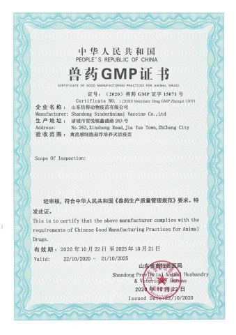 GMP-1 certificate of Shandong Sinder Technology Co., Ltd – certificate photo, supplier certificates section