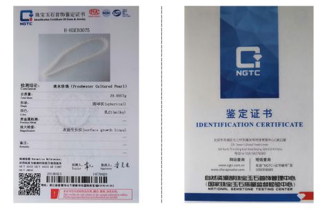 pearl strings certificate certificate from Zhuji Xueluo Pearl Jewelry Co., Ltd.
