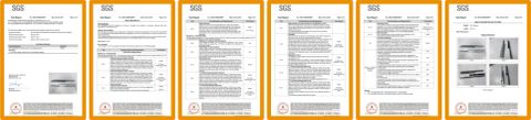 SGS certificate from Foshan Maxtolle Technology Co., Ltd.