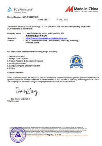 TUV TONSITE AUDITED CERTIFICATE certificate from Laiwu Trustworthy Import and Export Co., Ltd.