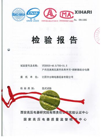 Type test report certificate from Wuhan Feite Electric Co., Ltd.