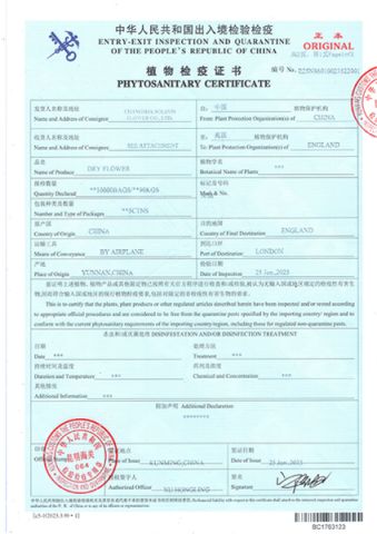 Our Certificates certificate of Changsha Solavis Flower Co., Ltd. – certificate photo, supplier certificates section