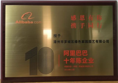 alibaba certificate from ZHANGZHOU XIANGCHENG GREENHOME HORTICULTURE CO., LTD