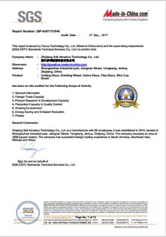 SGS certificate from Zhejiang Sali Abrasive Technology Co., Ltd.