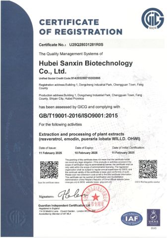 ISO9001 certificate of Hubei Sanxin Pharmaceutical Technology Co., Ltd. – certificate photo, supplier certificates section