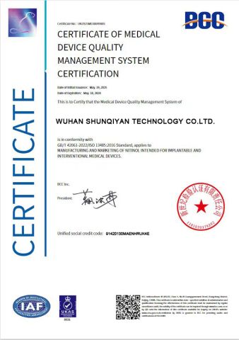 ISO certificate from Wuhan Shunqiyan Technology Co., Ltd.