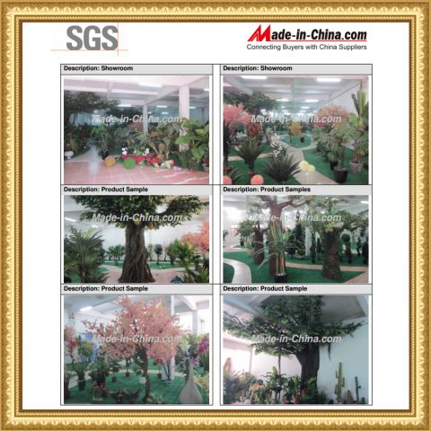 SGS of showroom certificate certificate from Guangdong Songtao Co., Ltd.