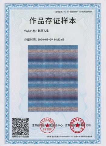 Designs Original Certificate Samples/1 certificate of Nantong Victoria Import and Export Co., Ltd. – certificate photo, supplier certificates section