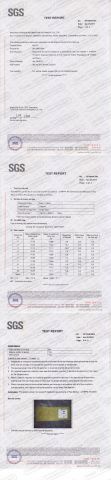 SGS Test Report of NFPA 701 - Mesh certificate from Nanjing Pegasus Recreation Equipment Co., Ltd.