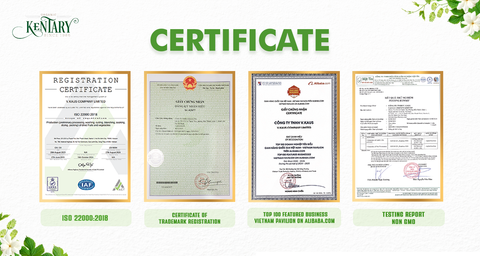 V.kaus company ltd certificate from AZU EMOBILITY LLC