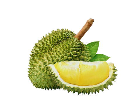 AGRO MAKI PLUS DOOEL ST NARODEN FRONT N - Freshdi