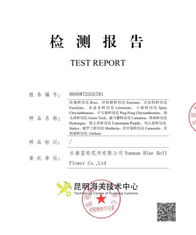 TEST REPORT certificate from Yunnan Blue Bell Flower Co., Ltd.
