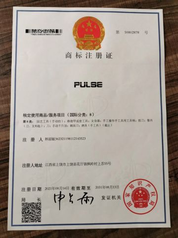 PULSE certificate from Yiwu Limem Tattoo Equipment Co., Ltd.