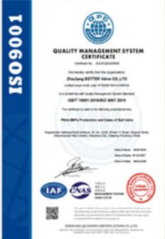 Our certificates certificate from Airbags (Nanjing) Automotive Co., Ltd.