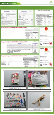 certificate certificate from Guangzhou Dikina Crafts Co., Ltd