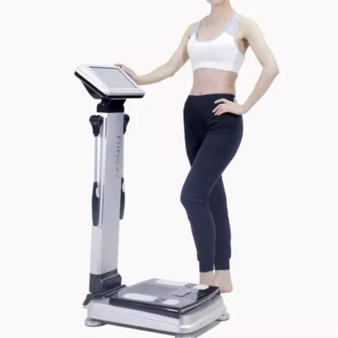 Body Composition Analyzer Body Fat Analyzer with Result Sheet from ...