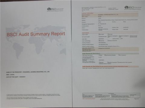 BSCI certificate from Qingdao Bagest Co., Ltd.