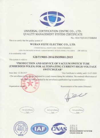 ISO Certificate certificate from Wuhan Feite Electric Co., Ltd.