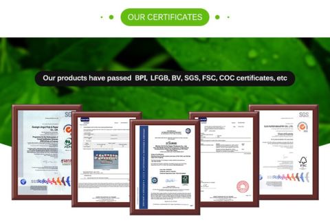 Certification certificate of Foshan Diansi Environmental and Technology Co. , Ltd – certificate photo, supplier certificates section