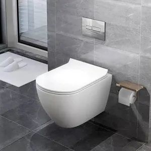 Bejoy Wall Hung Toilet Concealed Water Tank Color White Style European ...