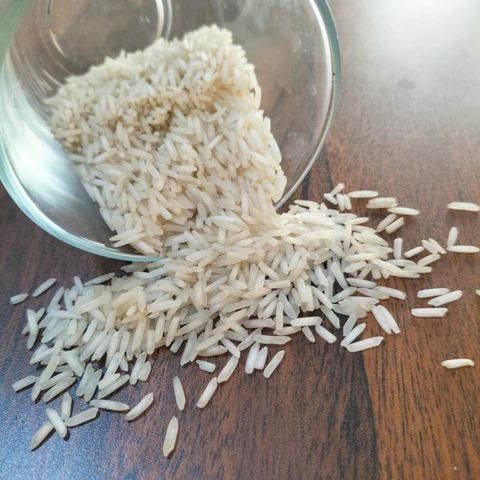 スノーボード DC SCOUT 26.5cm AGRO MAKI PLUS DOOEL STR NARODEN FRONT N - Freshdi