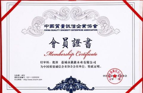 Industry member certificate from Yongzhou Jiaying Printing Co., Ltd.