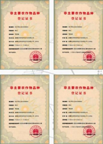 Certificates certificate from Yantai Lvye Tianyuan Seed Industry Co., Ltd