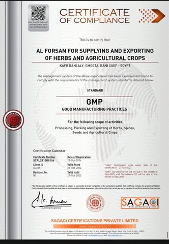 GMP certificate from El-Forsan Co., Egypt