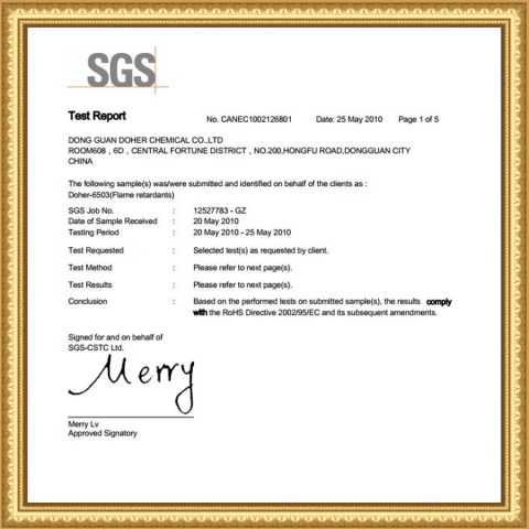 SGS certificate from Guangdong Songtao Co., Ltd.