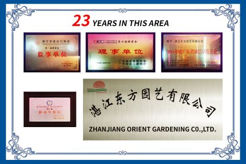 23 YEARS certificate from ZHANJIANG ORIENT GARDENING CO., LTD.