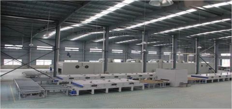 2 certificate from Golden Blue Collar (Shandong) International Trade Co., Ltd