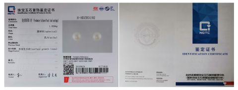 pearl earrings certificate certificate from Zhuji Xueluo Pearl Jewelry Co., Ltd.