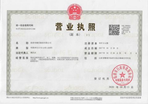 Business license certificate from Linqing Kangshi Bearing Co., Ltd.