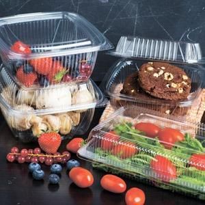 Rectangular PET Container - POLYER LLC