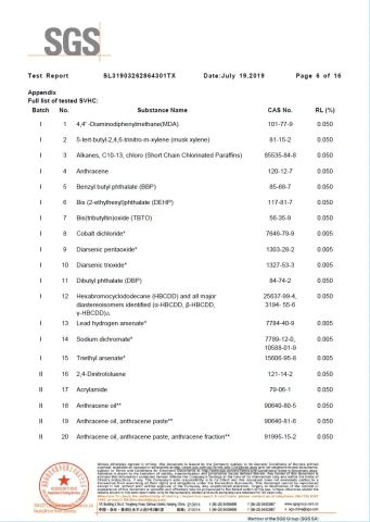 SGS Test Report 6 certificate from Eiffel Medical Supplies Co., Ltd.