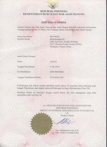 Anyball certificate from Dmantis Sports Goods Co., Ltd.