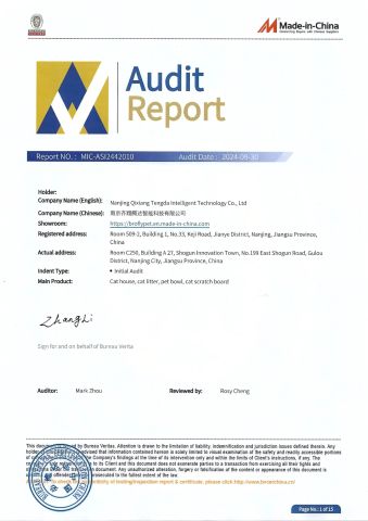 Audit report certificate from Nanjing Qixiang Tengda Intelligent Technology Co., Ltd