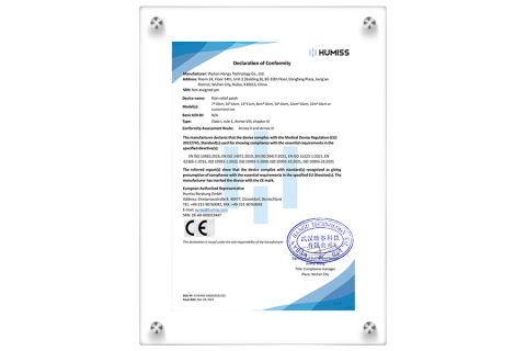 DOC_WUHAN HANGU.03.Pain relief patch certificate from Wuhan Hangu Technology Co.,Ltd