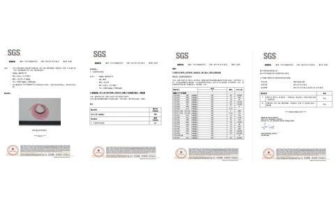 SGS certification certificate from Putian Chengqiu Hui Trading Co., Ltd.