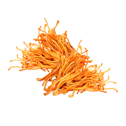 AGRO MAKI PLUS DOOEL ST NARODEN FRONT N - Freshdi