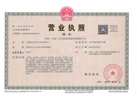 Business License certificate of Shanghai Demiks Electric Power Technology Co., Ltd. – certificate photo, supplier certificates section