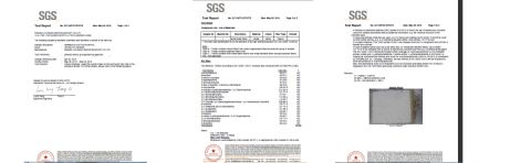 AZO Free Test SGS certificate from Ningbo Lounger Import & Export Co., Ltd.