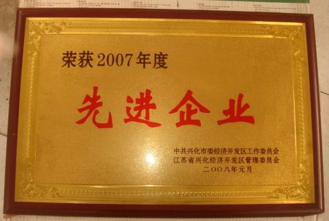 Advanced Company certificate from TAIZHOU FASTOOL INDUSTRY CO., LTD.